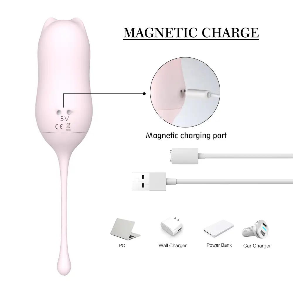 Shopicat MIAOU Rechargeable Vi